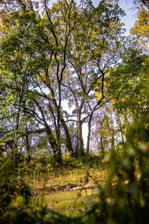 $1,695,000 | 0 Simon Road, Mondovi, WI 54755