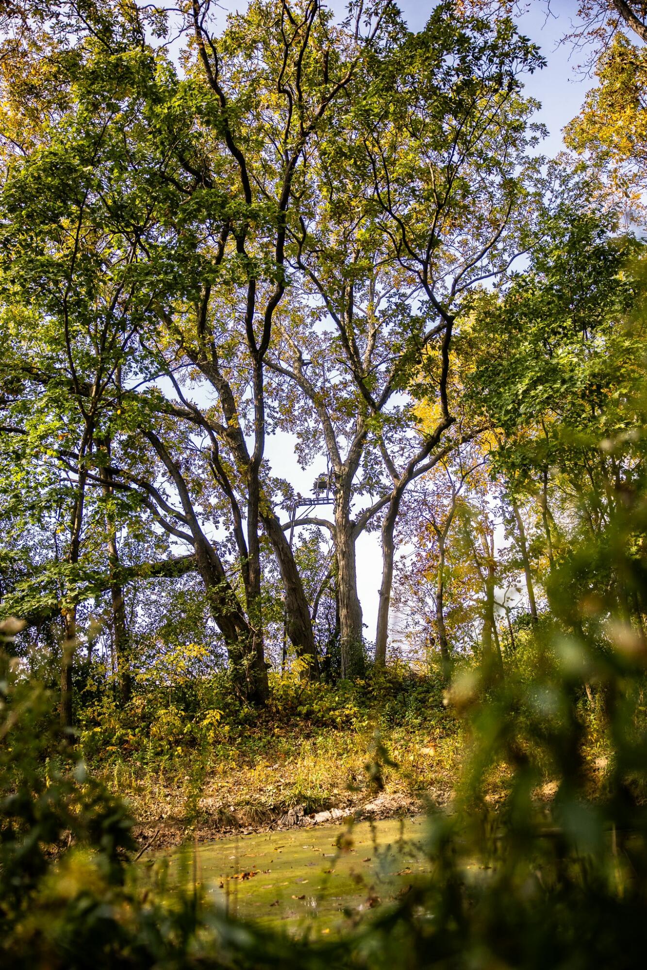 0 Simon Road Mondovi, WI 54755 - Photo 52 of 55 tempImageMvyoYx