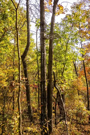 $1,695,000 | 0 Simon Road, Mondovi, WI 54755