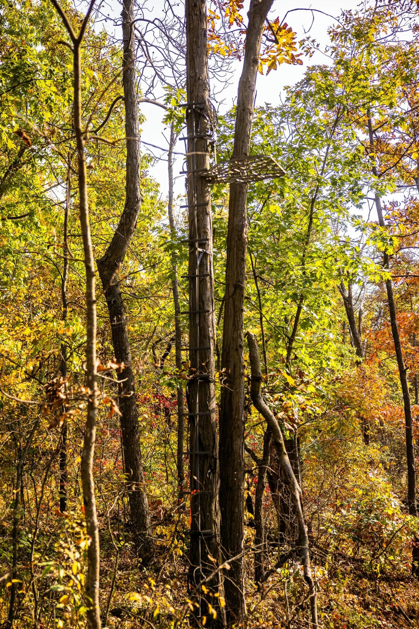 0 Simon Road Mondovi, WI 54755 - Photo 53 of 55 tempImageqnMc1R