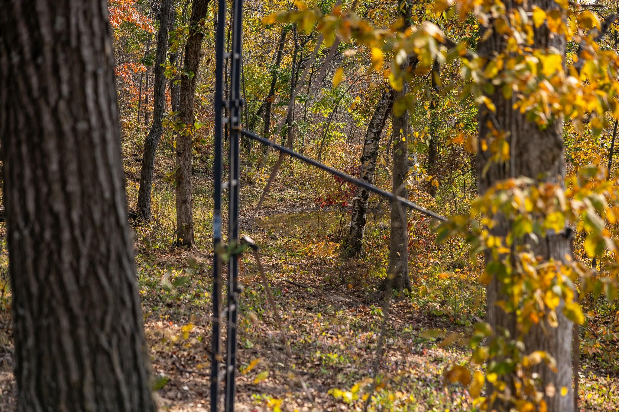 0 Simon Road Mondovi, WI 54755 - Photo 54 of 55 tempImageoN8OQB