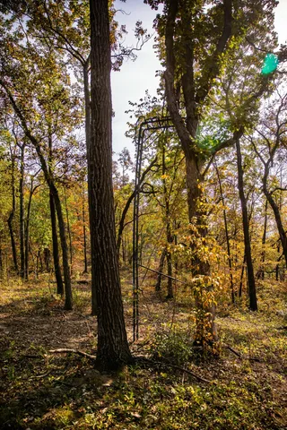 $1,695,000 | 0 Simon Road, Mondovi, WI 54755