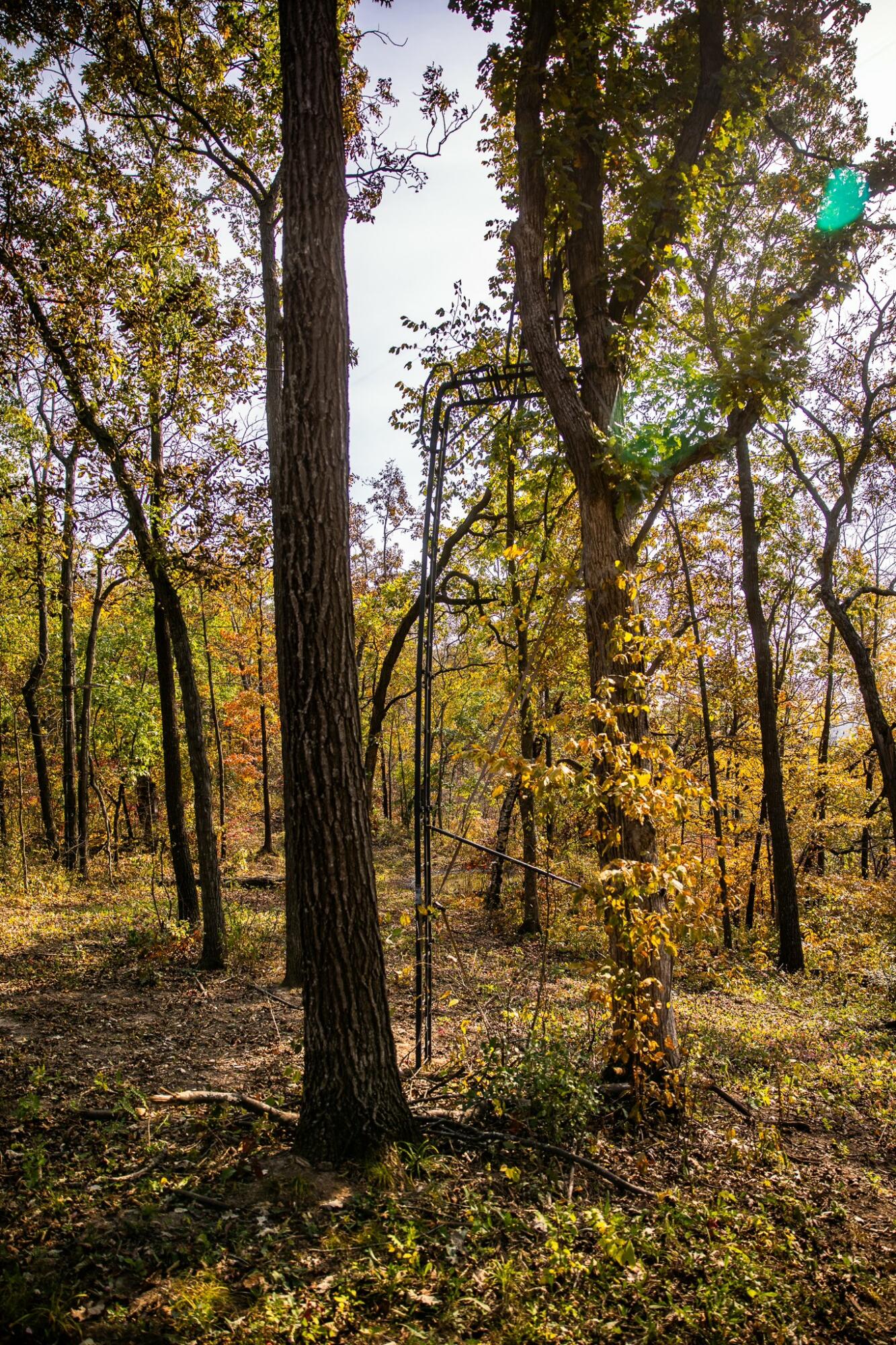 0 Simon Road Mondovi, WI 54755 - Photo 55 of 55 tempImagewWOCgt