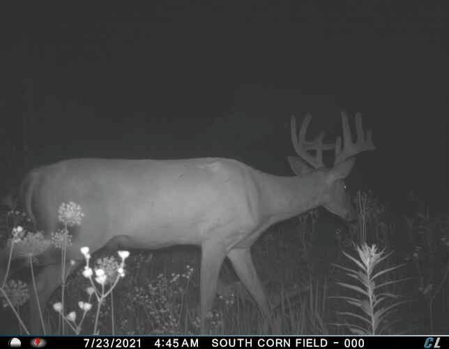 0 Simon Road Mondovi, WI 54755 - Photo 6 of 55 tempImageGZviuo