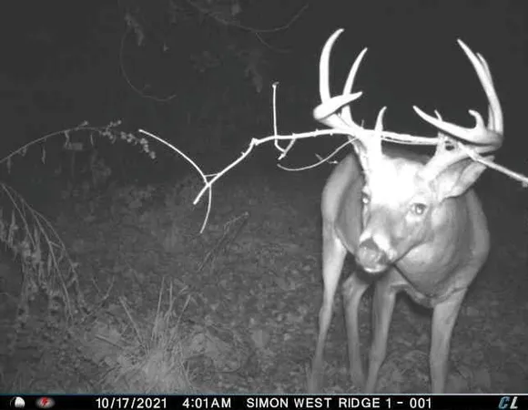 $1,695,000 | 0 Simon Road, Mondovi, WI 54755