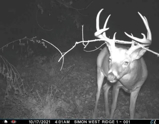 $1,695,000 | 0 Simon Road, Mondovi, WI 54755