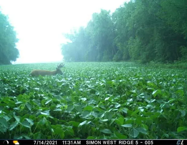 $1,695,000 | 0 Simon Road, Mondovi, WI 54755