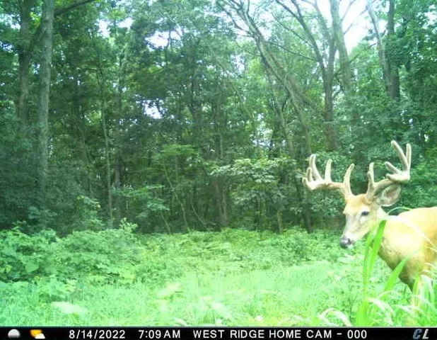 $1,695,000 | 0 Simon Road, Mondovi, WI 54755