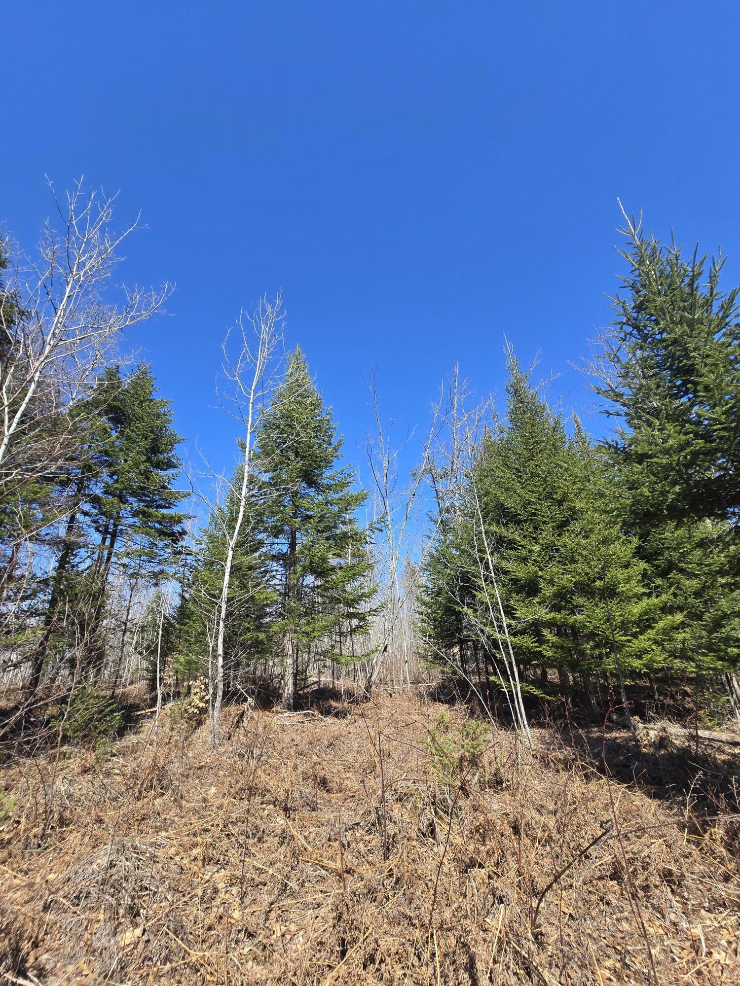 0 Chadbourne Road Harmony, ME 04942 - Photo 3 of 22 20260408_140048