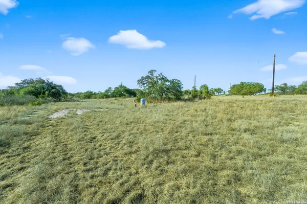 a view of a field