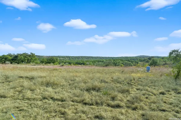 a view of a bunch of trees in a field