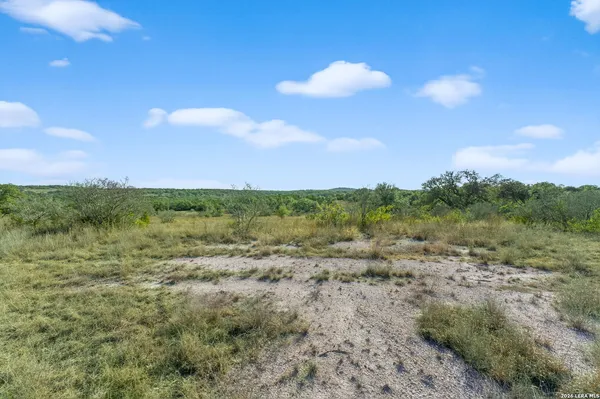 a view of a bunch of trees in a field