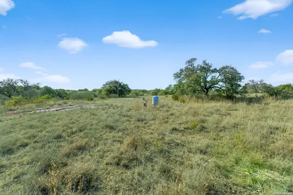 a view of a green field