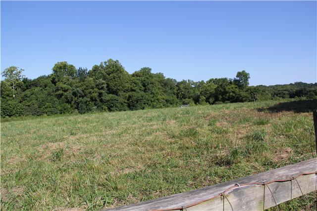 0 Murrah Road Riddleton, TN 37151 - Photo 2 of 5