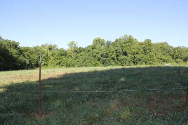 0 Murrah Road Riddleton, TN 37151 - Photo 3 of 5