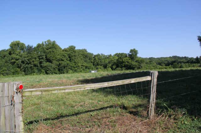 0 Murrah Road Riddleton, TN 37151 - Photo 4 of 5