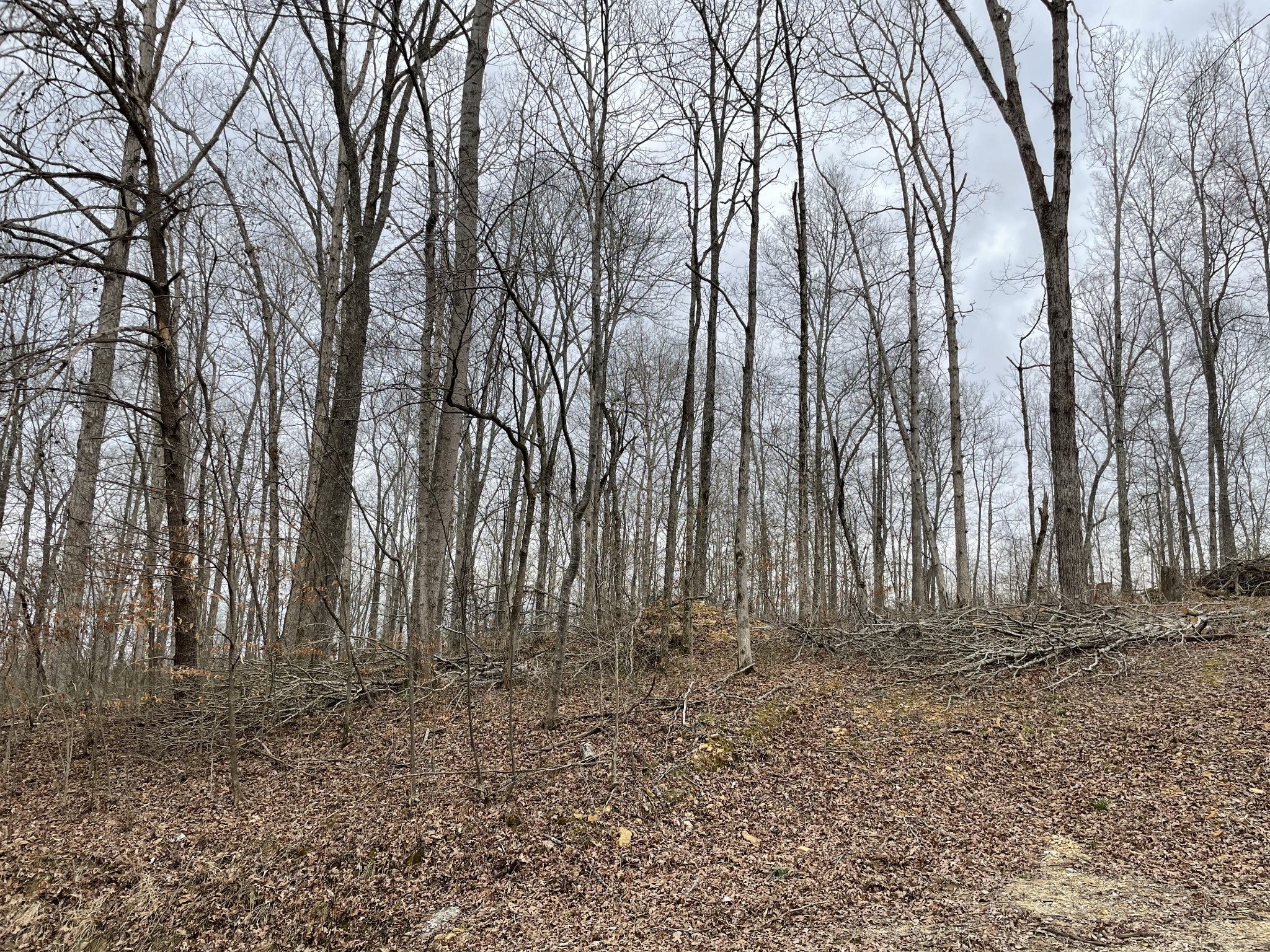 0 Leatherwood Road Dickson, TN 37055 - Photo 1 of 2 Gallery Image 1