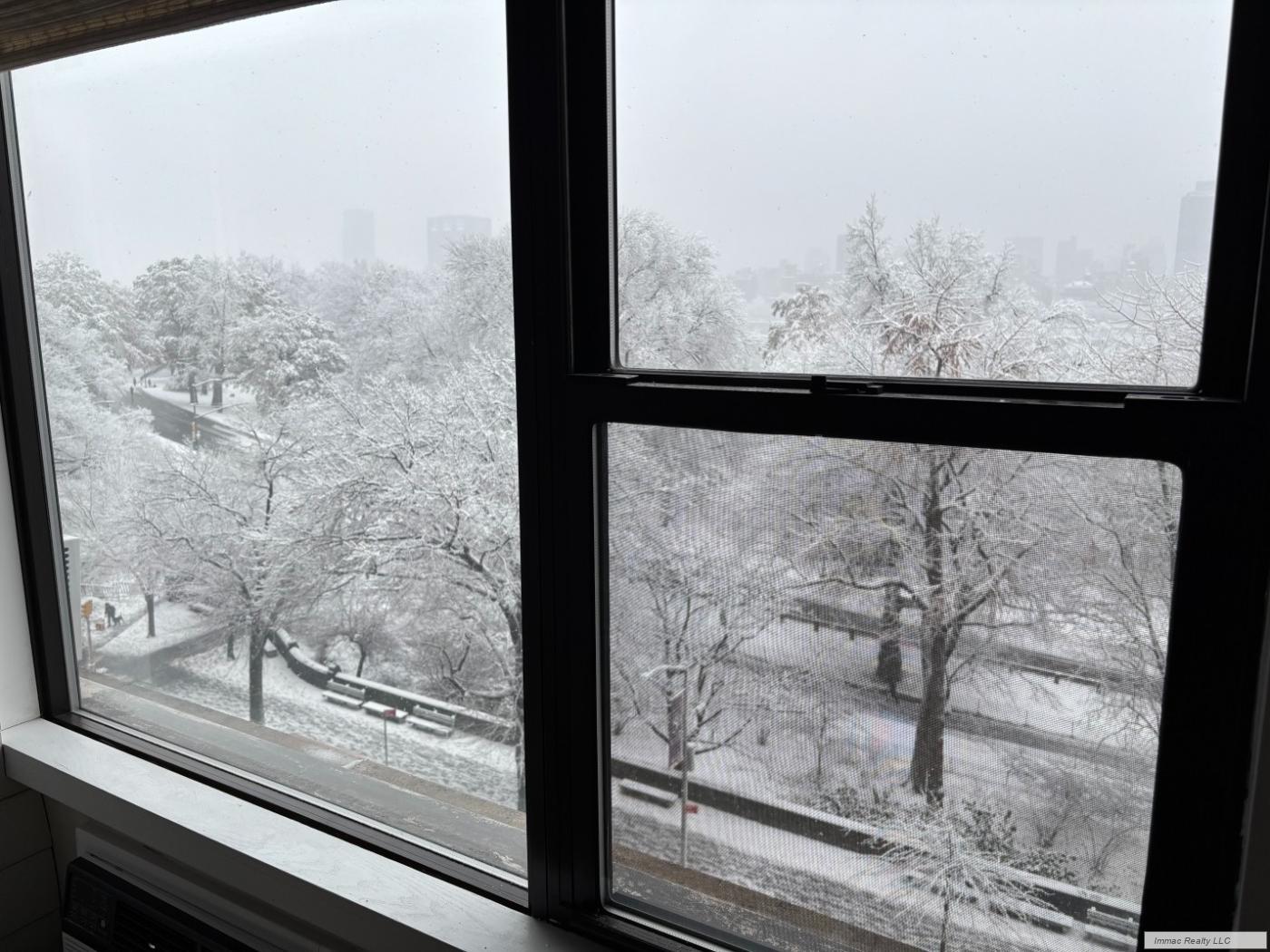 293 Central Park West, Unit PHS Manhattan, NY 10024 - Photo 9 of 29 Photo 11