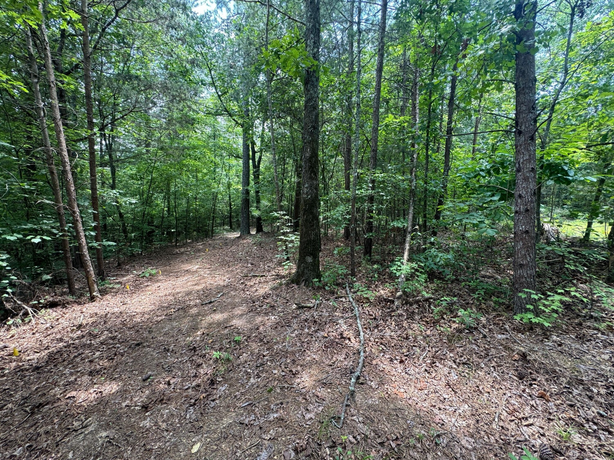 14 Gatlin Road Northeast Cleveland, TN 37323 - Photo 3 of 10 Gallery Image 3