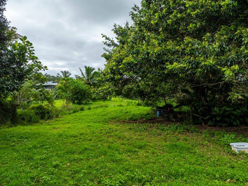 124 B Olohena Road Kapaa, HI 96746 - Photo 8 of 20 Gallery Image 8