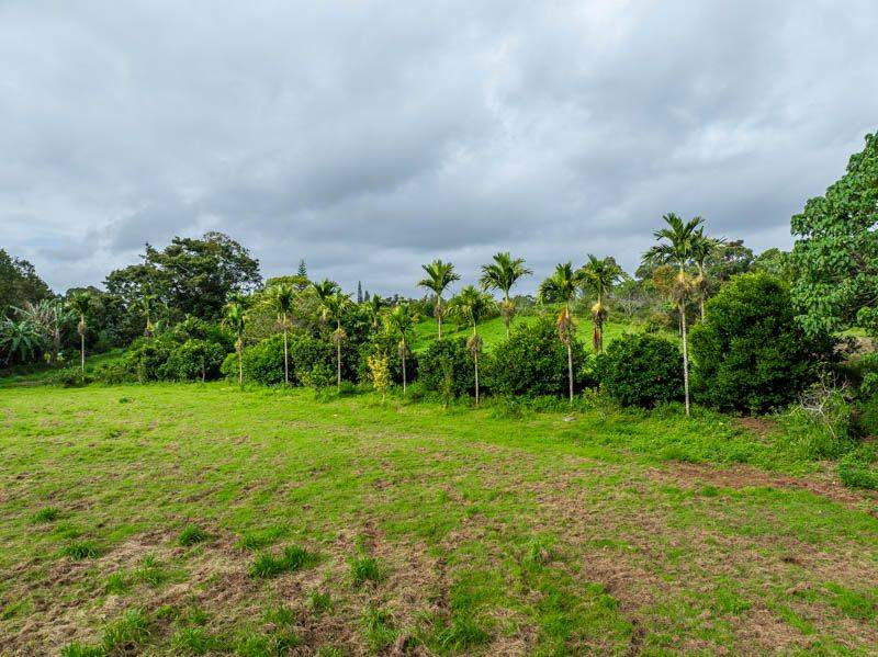 124 B Olohena Road Kapaa, HI 96746 - Photo 9 of 20 Gallery Image 9