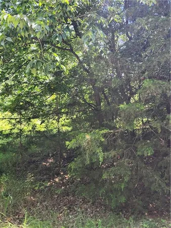 $45,000 | 26 North Lakeview Drive, Linn Valley, KS 66040