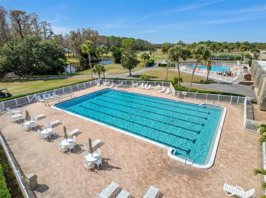 3504 Niblick Court, Unit 4 New Port Richey, FL 34655 - Photo 55 of 58