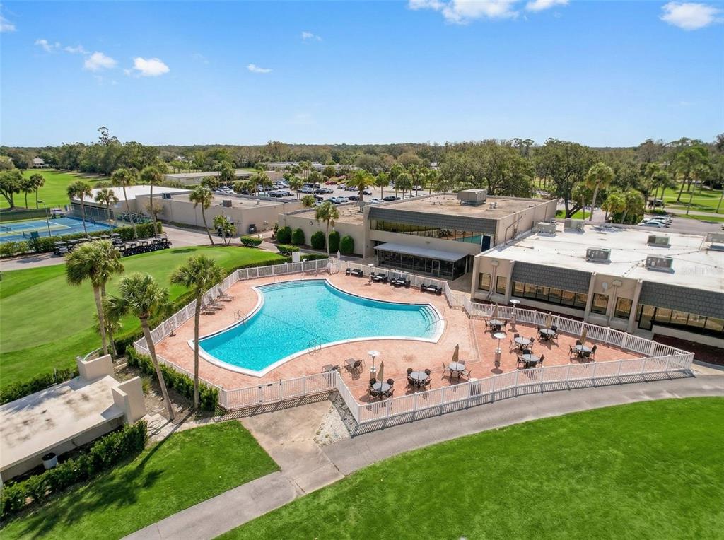 3504 Niblick Court, Unit 4 New Port Richey, FL 34655 - Photo 56 of 58 a view of a swimming pool and lounge chairs in back yard of the house
