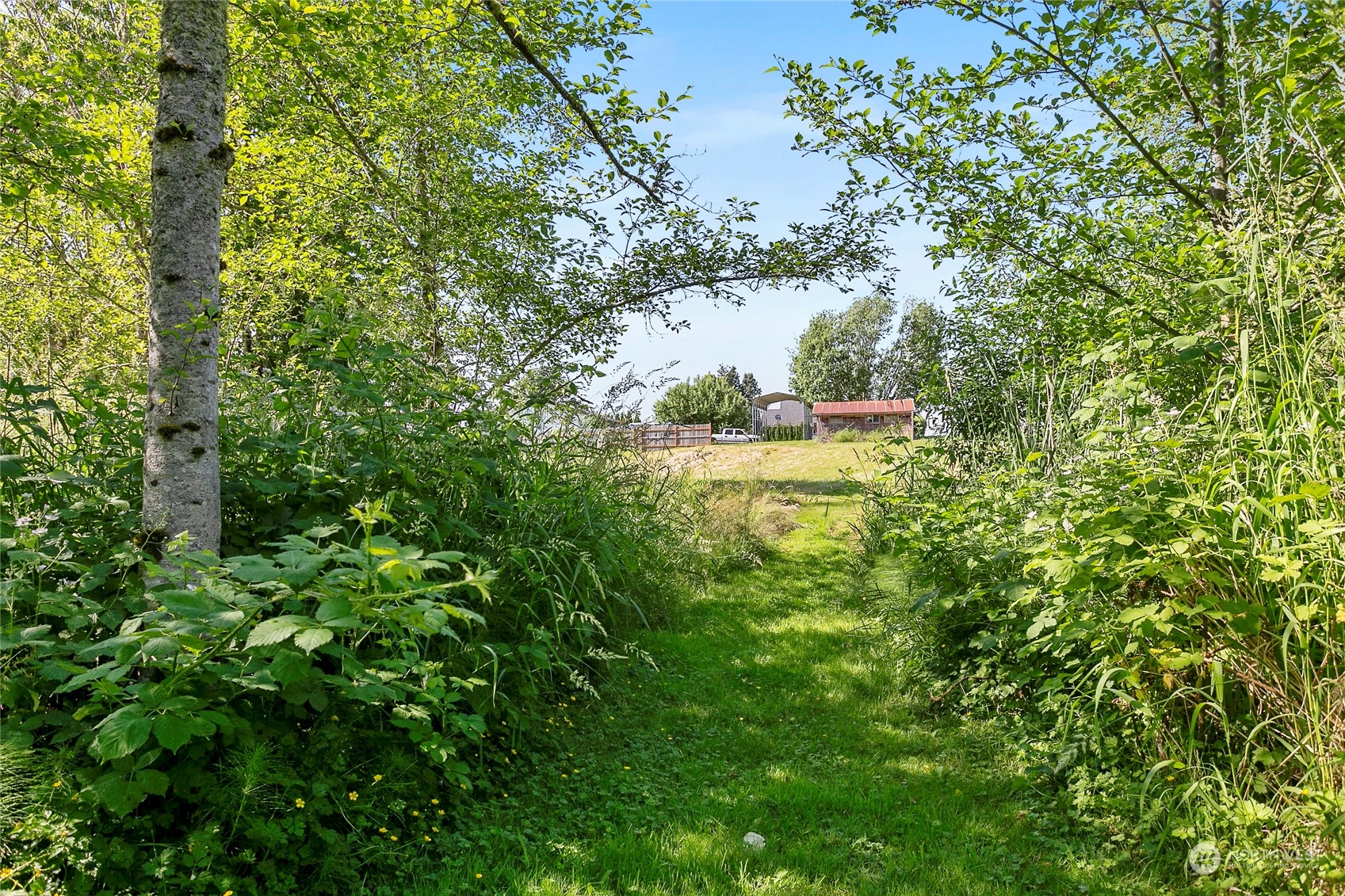 2219 Mt Baker Highway Bellingham, WA 98226 - Photo 36 of 39 a view of a yard