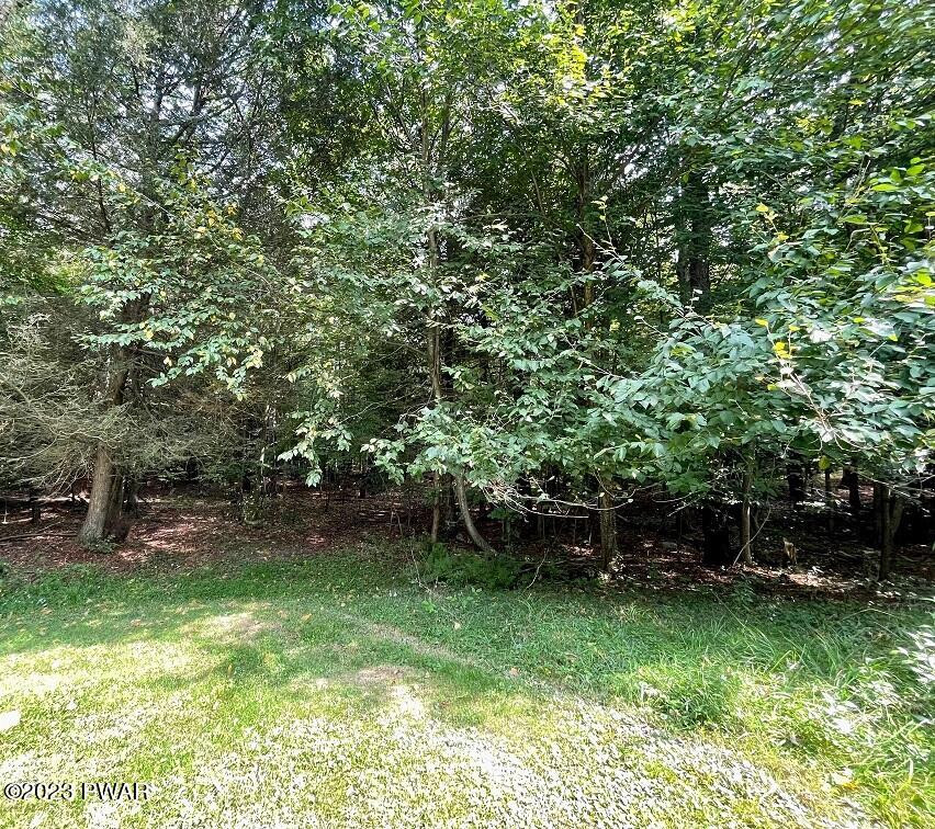 45 Jacob Road Waymart, PA 18472 - Photo 20 of 23
