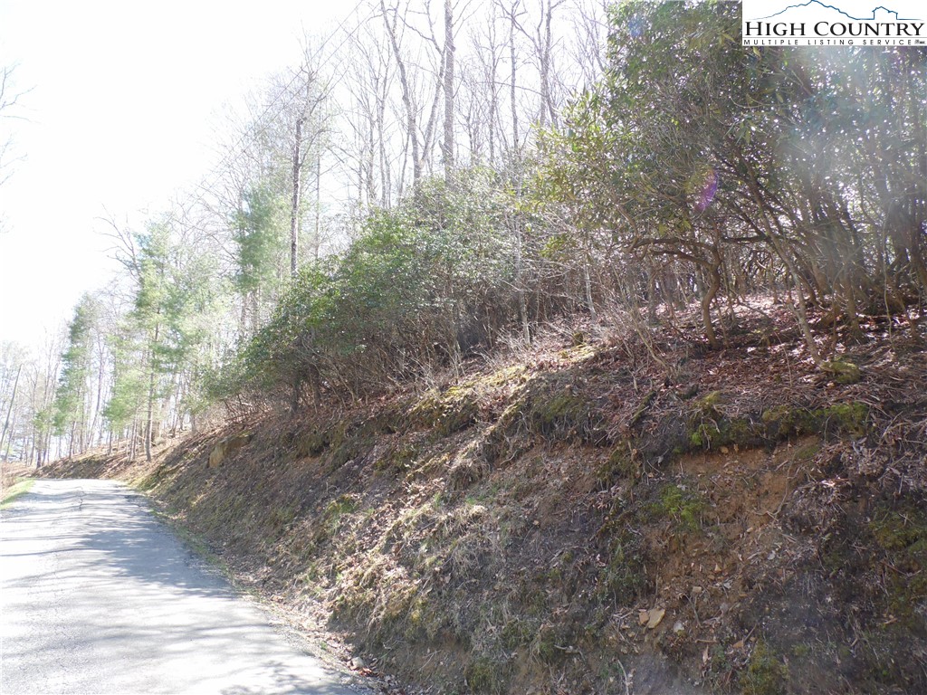 31-32 Happy Ridge Road, Unit 3132 Grassy Creek, NC 28631 - Photo 9 of 14