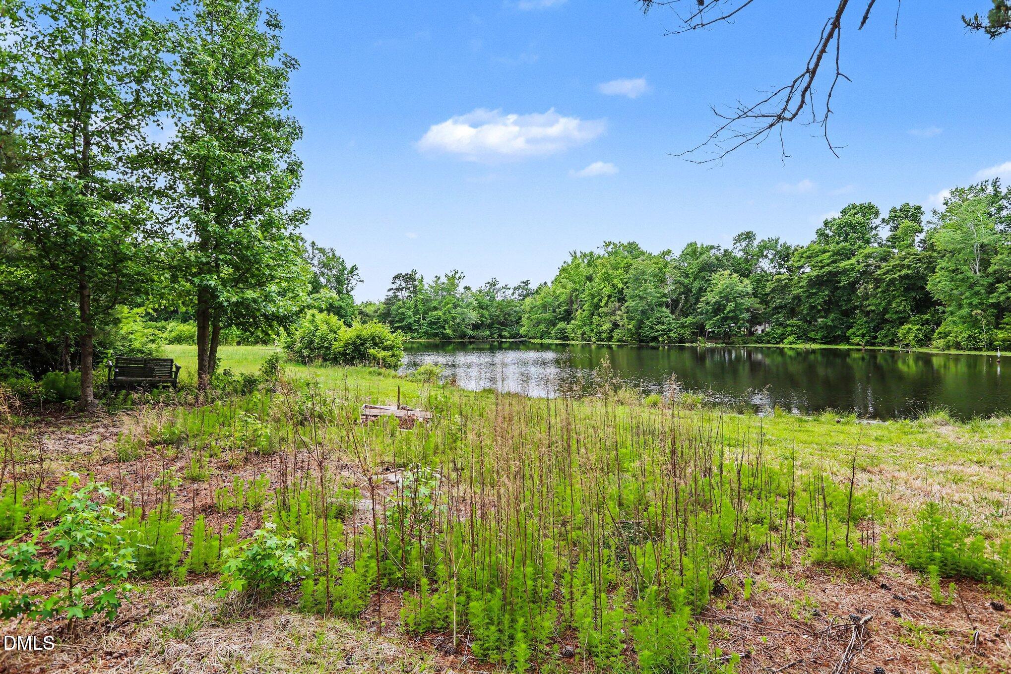 6725 Wimberly Road Willow Spring, NC 27592 - Photo 6 of 29 026_file_5715