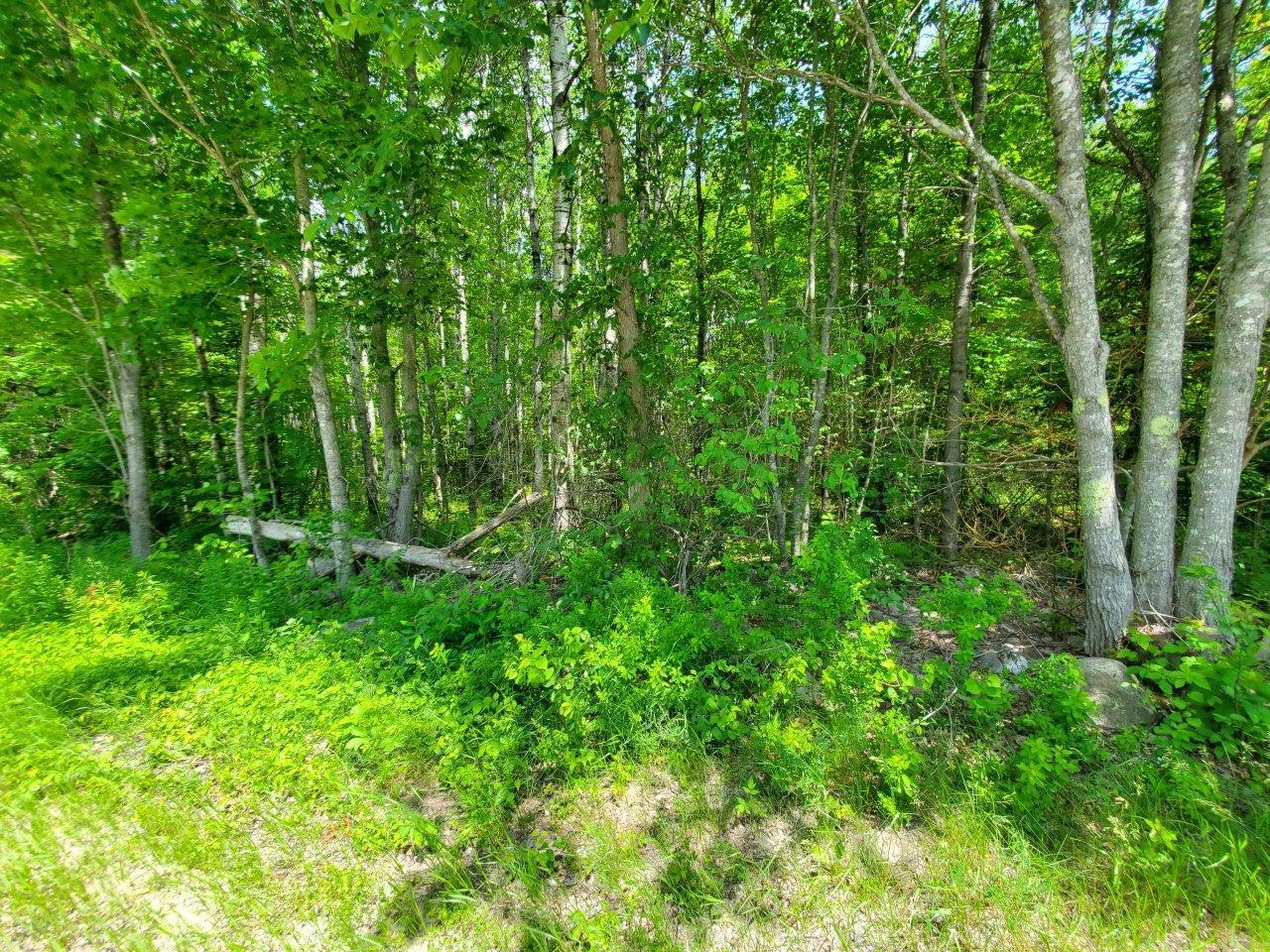 0 Morgan Road Burnham, ME 04922 - Photo 64 of 69 20250617_130835