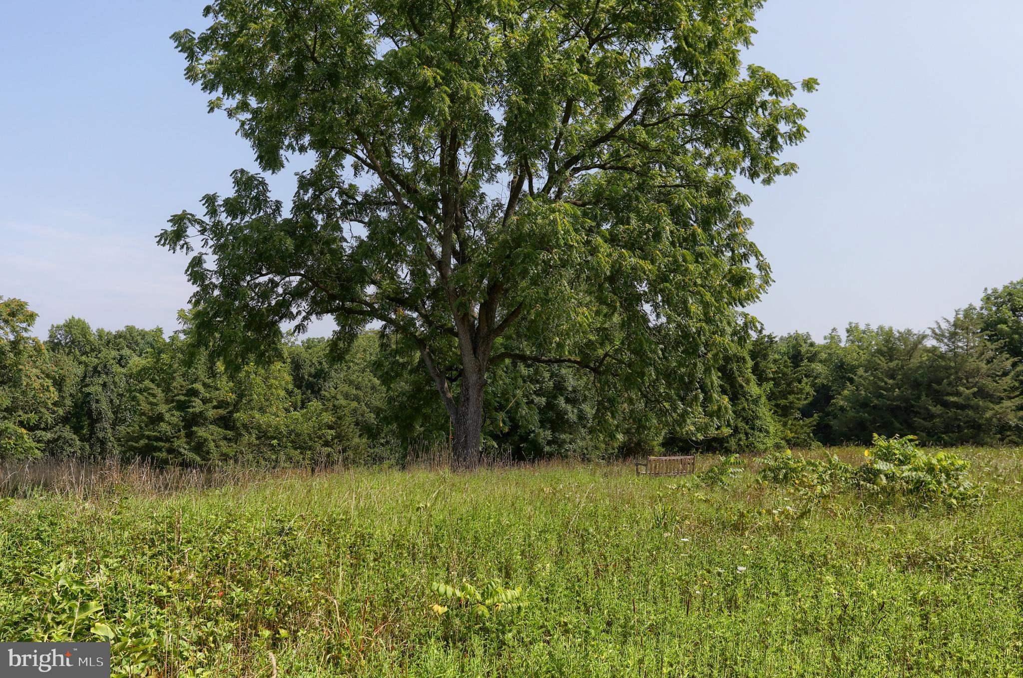 6993 Schoolhouse Road Hershey, PA 17033 - Photo 64 of 70 Gallery Image 64