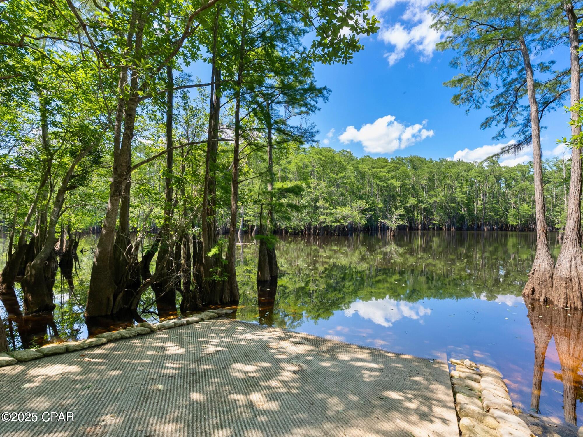 0 South Sr 71 Road Wewahitchka, FL 32465 - Photo 11 of 14