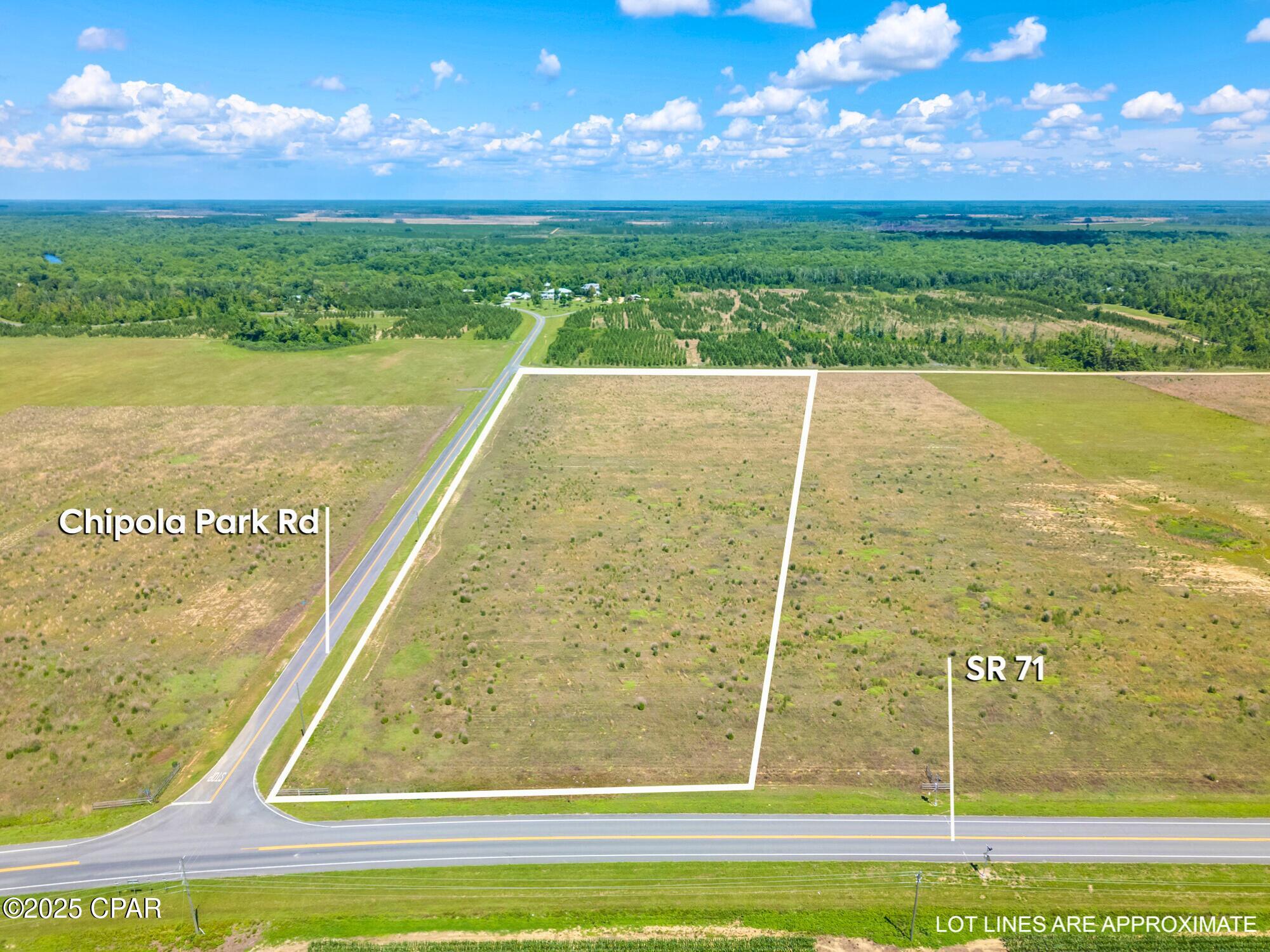 0 South Sr 71 Road Wewahitchka, FL 32465 - Photo 2 of 14