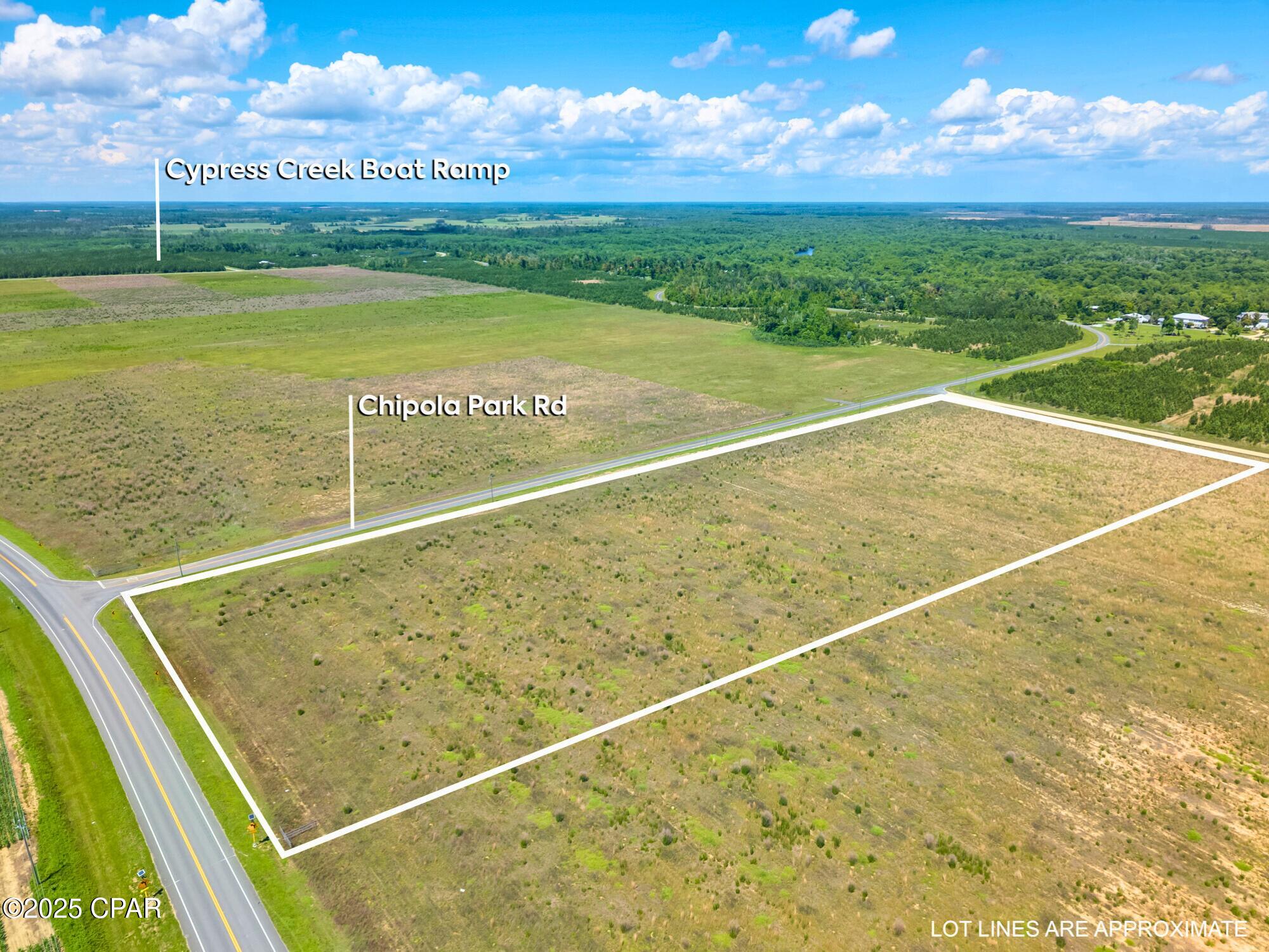 0 South Sr 71 Road Wewahitchka, FL 32465 - Photo 4 of 14