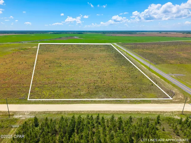 $119,000 | 0 South Sr 71 Road, Wewahitchka, FL 32465