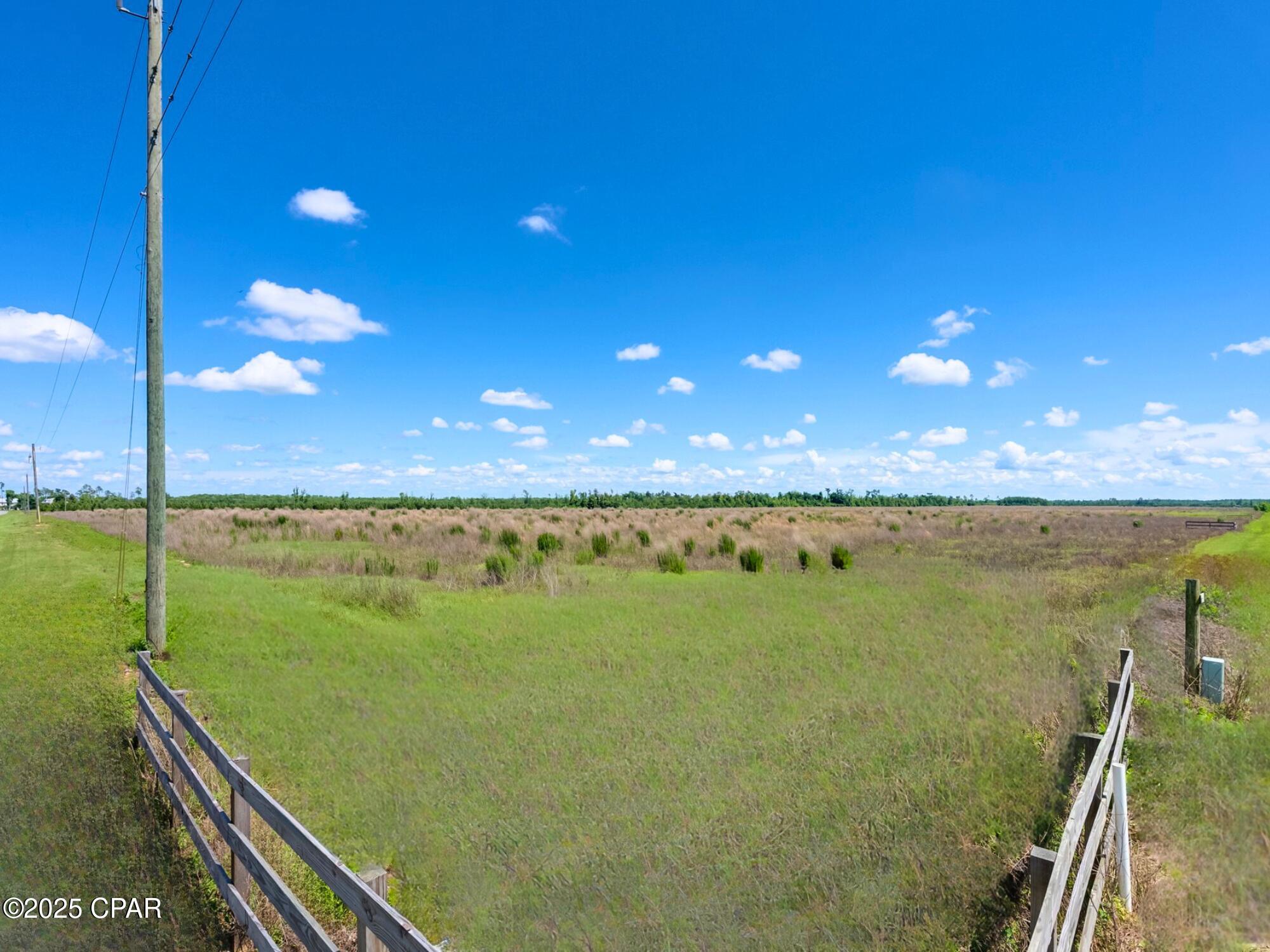 0 South Sr 71 Road Wewahitchka, FL 32465 - Photo 7 of 14