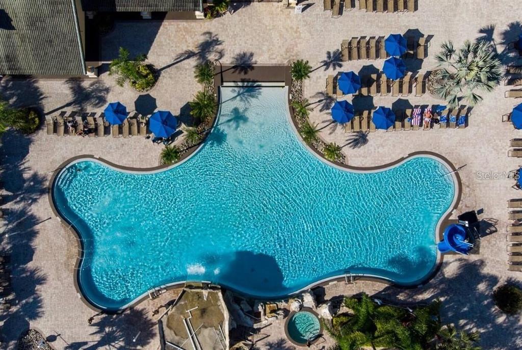 8974 California Palm Road Kissimmee, FL 34747 - Photo 57 of 62