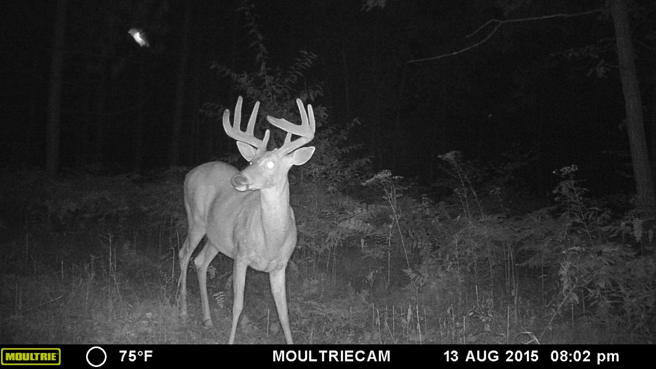 On On Slizewski Road Rhinelander, WI 54501 - Photo 1 of 18 Gallery Image 1