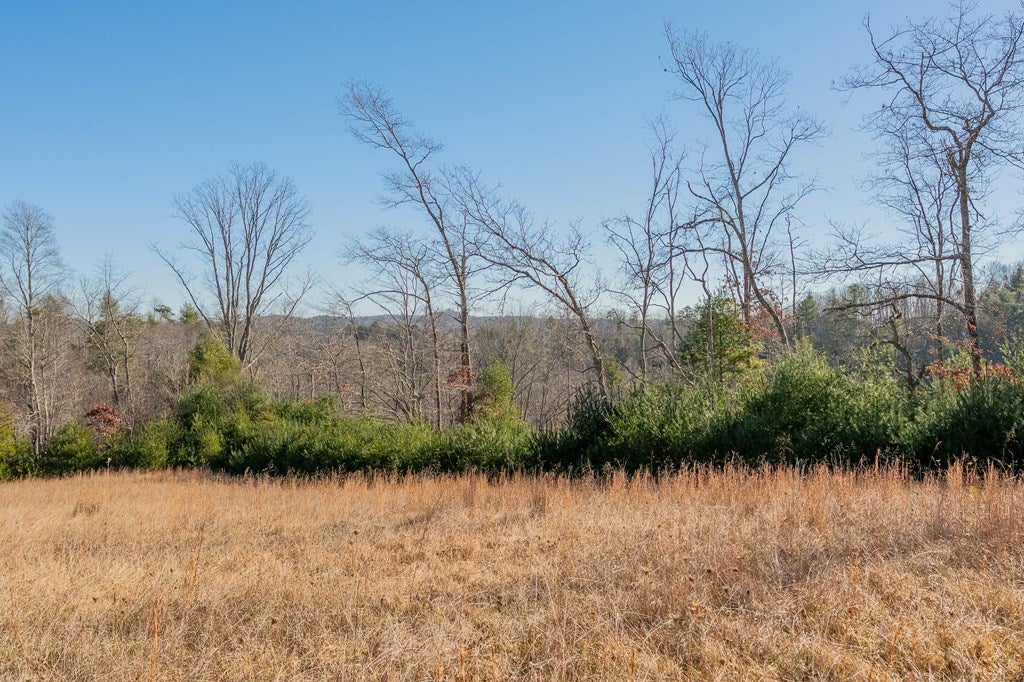 1530 Ridge Road Austinville, VA 24312 - Photo 39 of 62 Gallery Image 39