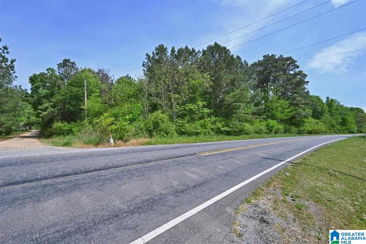 0 Helicon Road Arley, AL 35541 - Photo 6 of 6
