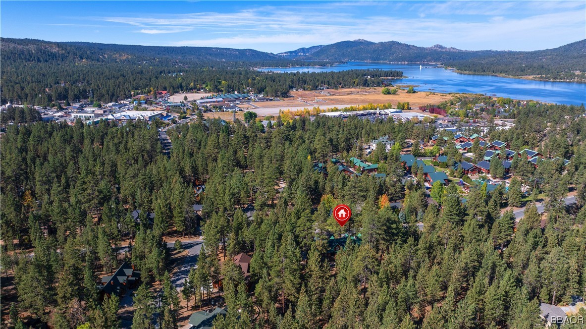 125 Starvation Flats Road Big Bear Lake, CA 92315 - Photo 40 of 41