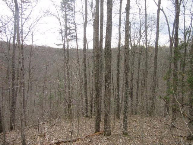 11111 Chestnut Flat Road McKee, KY 40447 - Photo 9 of 9 Photo 9