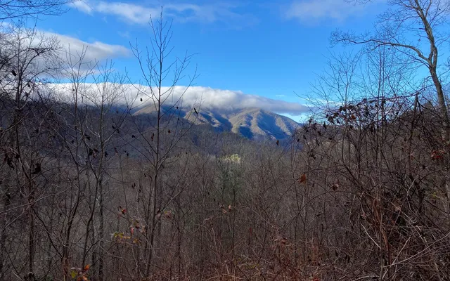 $85,000 | M1-m2 Georgianna Lane, Bryson City, NC 28713