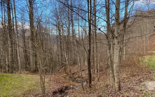 $85,000 | M1-m2 Georgianna Lane, Bryson City, NC 28713