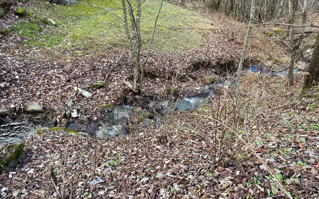 $85,000 | M1-m2 Georgianna Lane, Bryson City, NC 28713