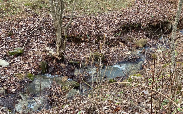 $85,000 | M1-m2 Georgianna Lane, Bryson City, NC 28713