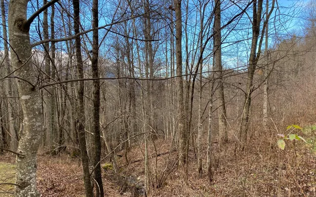 $85,000 | M1-m2 Georgianna Lane, Bryson City, NC 28713